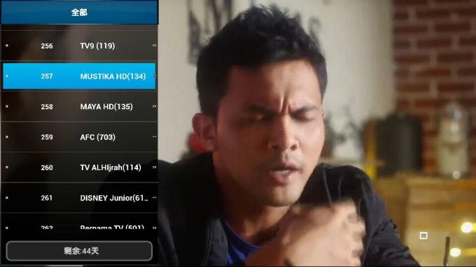 Enchufe y juego a pedido de Convinient de la ayuda del vídeo de Malasia Iptv Android Apk
