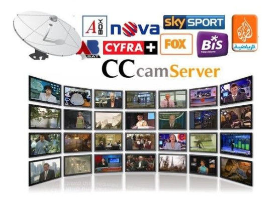 China Servidor estable de la paga de Cccam actualizado automáticamente con DVB - receptor S2 proveedor